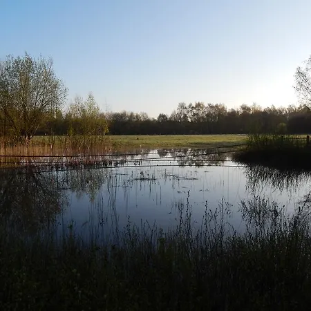 Annabelle * Schuettorf