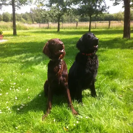 Annabelle Casa de Férias Schuettorf