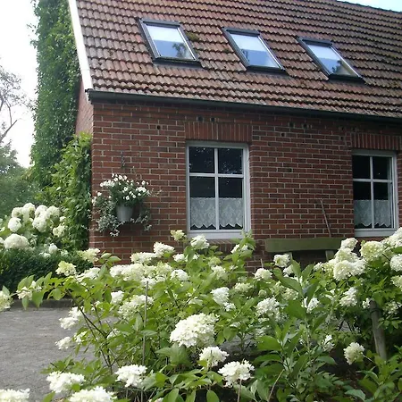 Annabelle Schuettorf