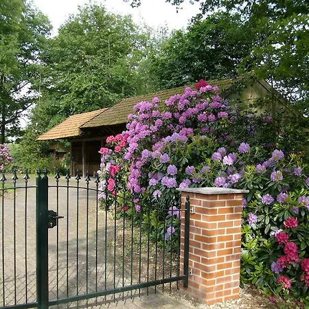 Annabelle Шютторф