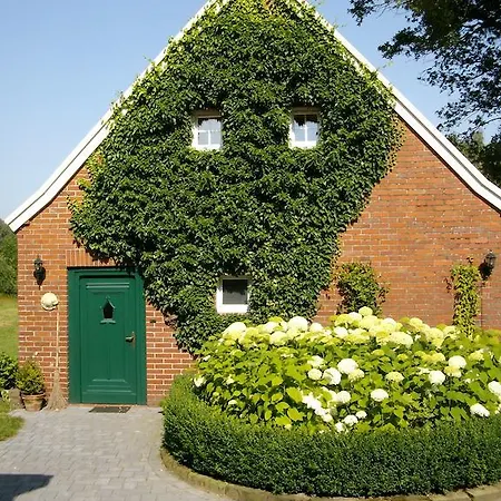 Annabelle Schuettorf