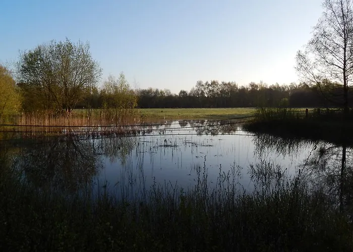 Annabelle * Шютторф