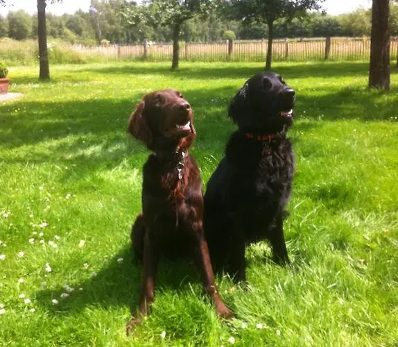 Annabelle Дом отдыха Шютторф