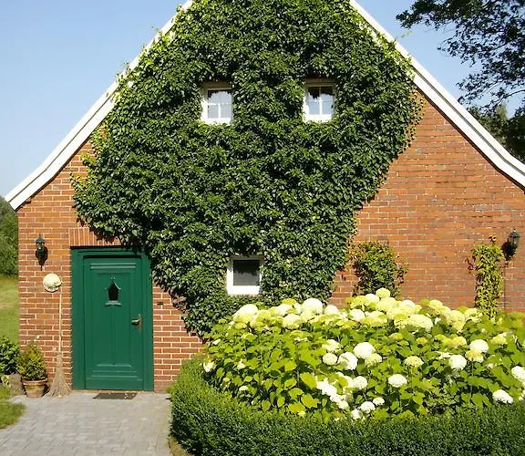 Annabelle Schuettorf